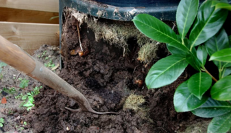 Compostvat met compost