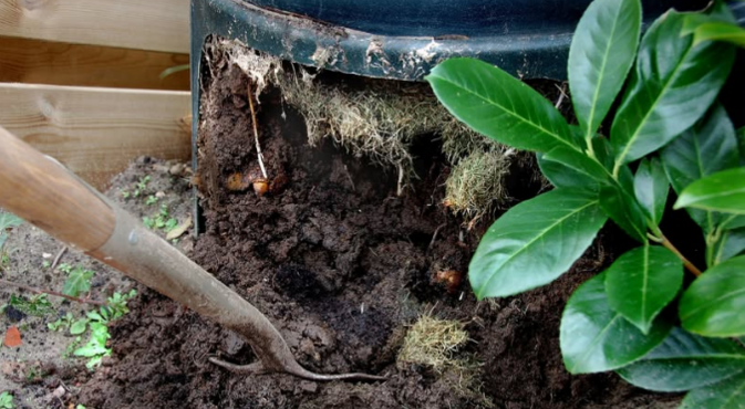 Compostvat met compost