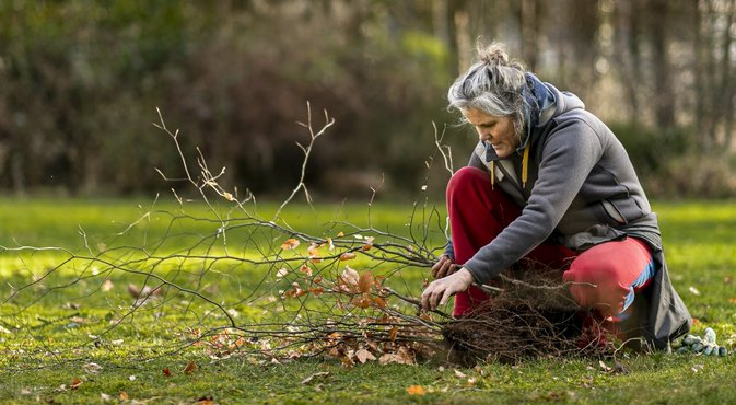 Vrouw oogst jonge boom bij evenement Meer Bomen Nu.