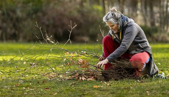 Vrouw oogst jonge boom bij evenement Meer Bomen Nu. 