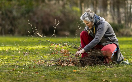 Vrouw oogst jonge boom bij evenement Meer Bomen Nu. 