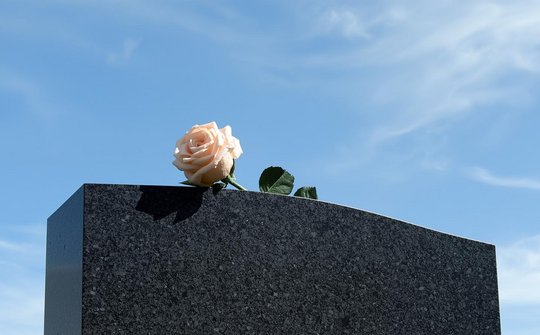 Foto: Grafsteen met daarop een roos